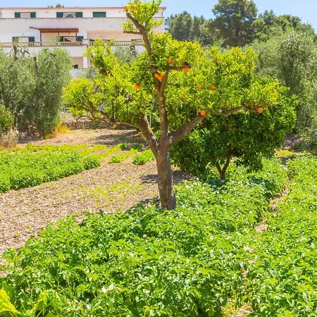 Tavaglione-1 By Interhome Apartment *
